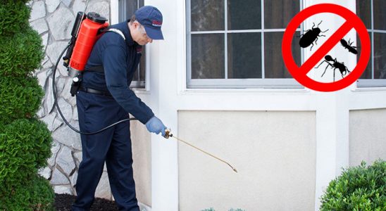 Çamaş Kemirgen İlaçlama böcek ilaçlama ve haşere kontrolü — ilaclama-tr.com